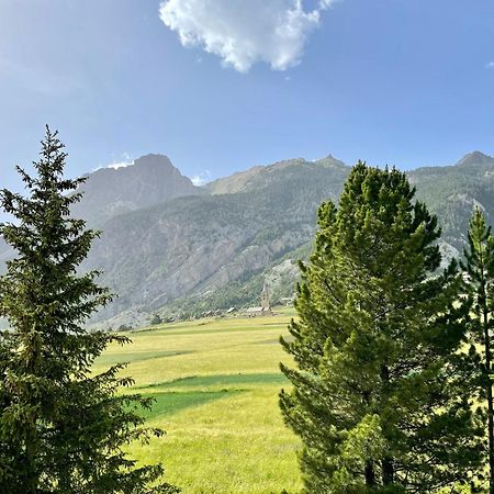 Gite Montagne 1 A 25 Places "Chalet Coste Belle" Сейяк Екстериор снимка